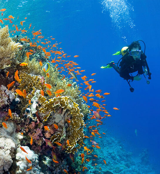 Jivana Beach Villas - Things to do 2